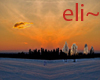 eli~ sky winter sunset