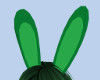 Green Bunny Ears (M)/SP