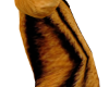 kids tiger onsie