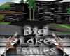 (TP)~Big Lake Estates~