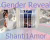 Shanti Gender Reveal