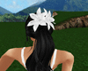flor p cabelo branca 