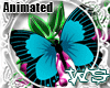 Animated Butterfly Frame