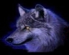 Blue Wolf ! Glow/shadow