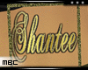 Shantee 14kt Long Chain