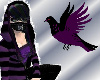 Raven Striped Hoody