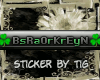 [Custom] BsRaOrKrEyN