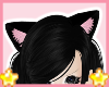 cat ears