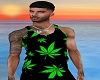 DBee His look3