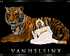 (VH) Animated Tiger V.5