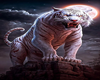 Fullmoon And Tiger