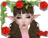 Topall Brunette