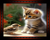 ♡ Kitten and Bird BG