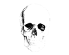 ® Skull Cutout