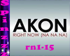 Akon Right Now (Na Na)