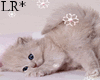 Animated Snowflake/cat