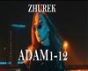 ADAM ZHUREK REMIX
