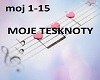 MOJE TESKNOTY