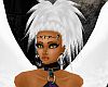AW~WHITE WOLF PEBBLES