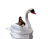 Romantic Swan Boat