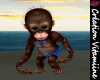 Baby monkey Boy