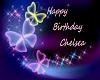 Birthday Banner- Chelsea