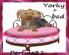 yorky+bed