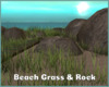 -IC- Beach Grass&Rocks