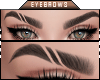 ⓕ Balqis Black Brows