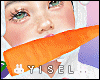 Y. Cute Easter Carrot F