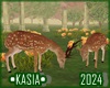 Fun with Deers