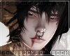 𝒔. addon 091