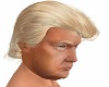 Trump Hair