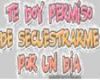 Permiso