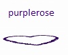 heartpurplerosepetal