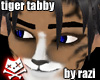 Tiger Tabby (M)