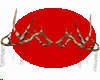 reindeer antlers with sn