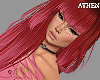 !A! Babe Red Rosé!