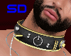 collar with USB *SD*