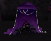 Purple Canopy + Poses