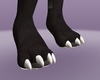 Black Cat toes