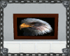 [R] Bald Eagle Picture