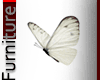 White Butterfly Animated