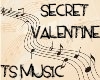 TS-Secret Valentine