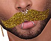 Gold Moustache