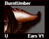 BurntUmber Ears V1