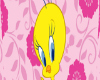 Tweety Time