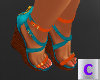 Hula Shoe V2