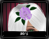 [Mrs] Lilac Rose !R!