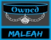 Owned Collar: Blue